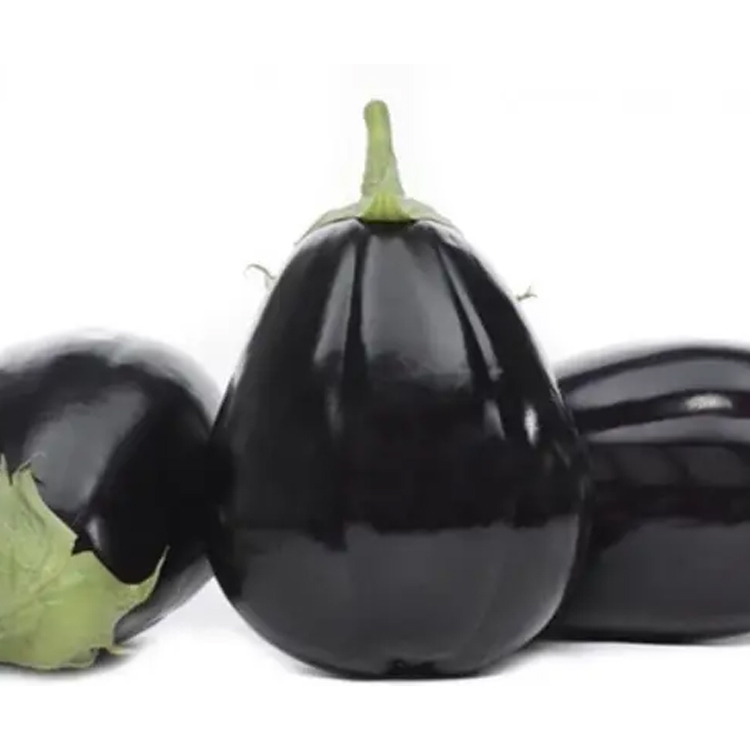 باذنجان عجمي