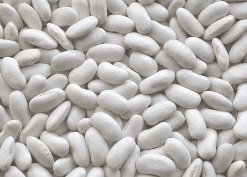 فاصولياء بيضاء