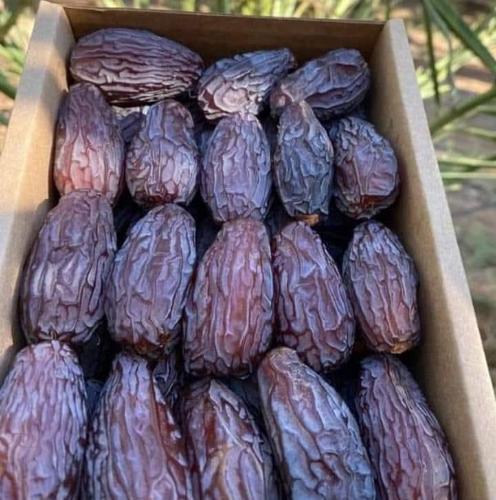 تمر طازج موسم 2026