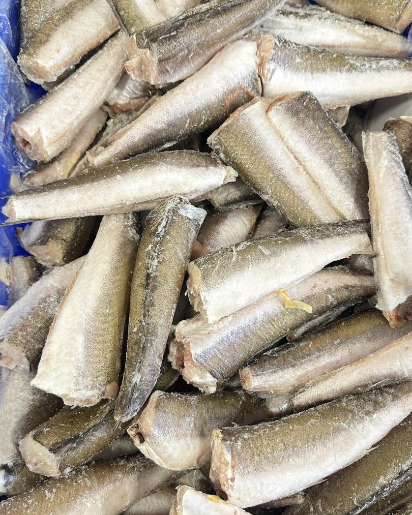 سمك أرجنتيني 000 الكيلو