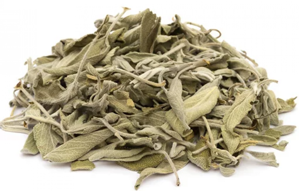 ميرمية جبلية عقربا