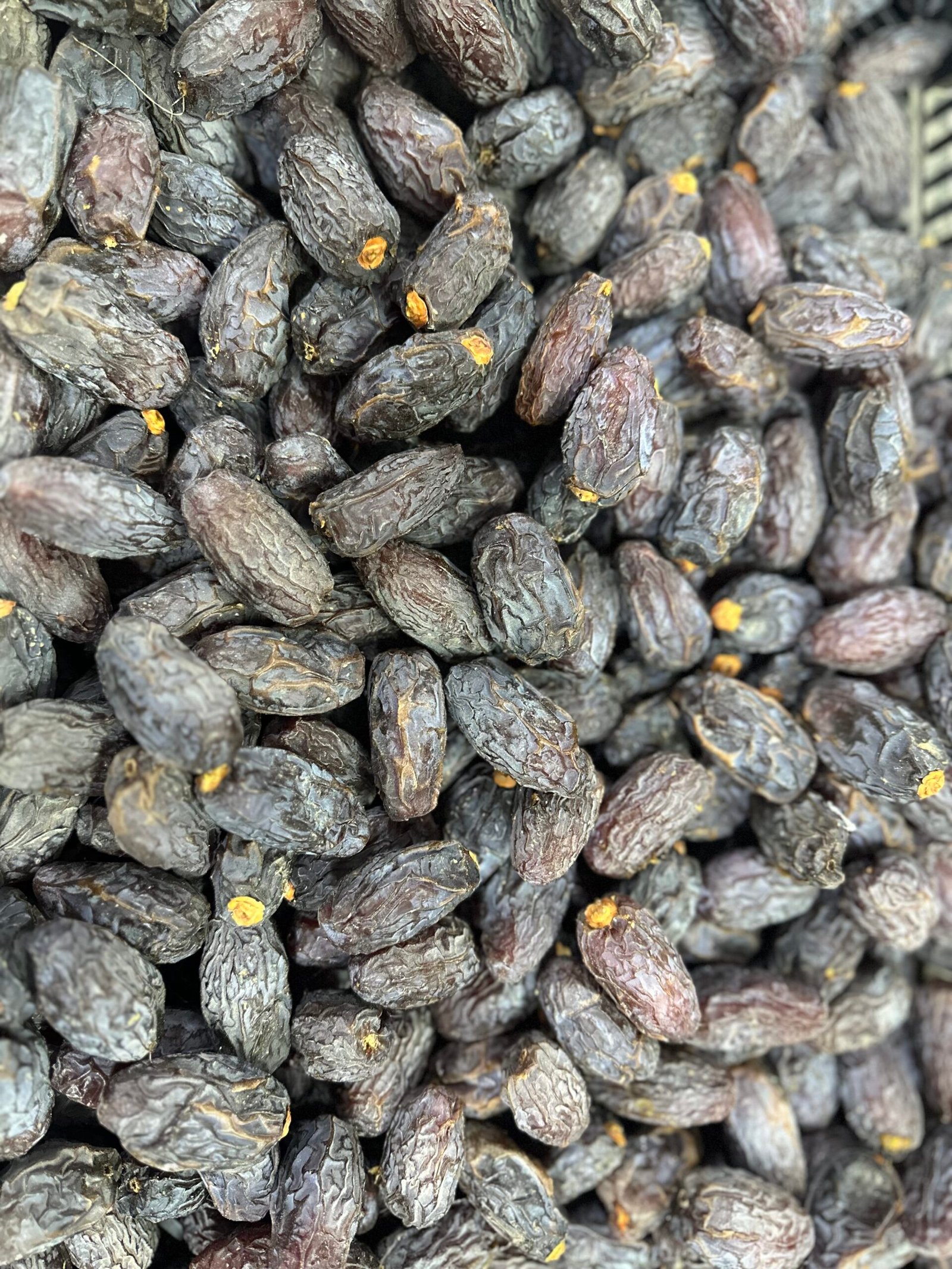 تمر طازج موسم 2026