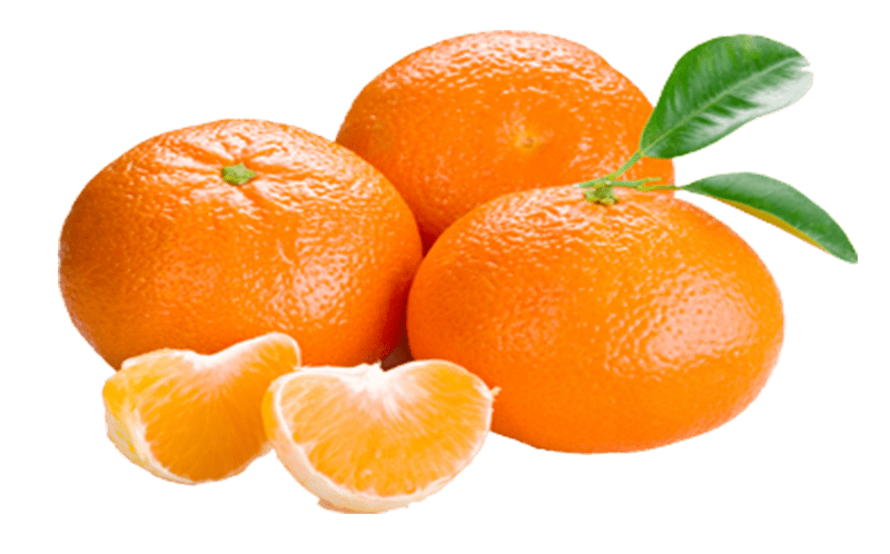 مندلينا مخال