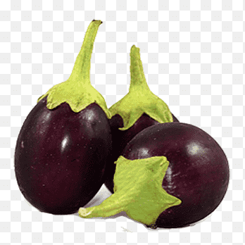 باذنجان محاشي