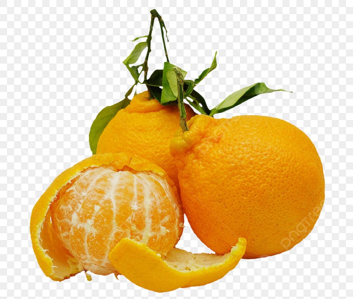 مندلينا يوسفي