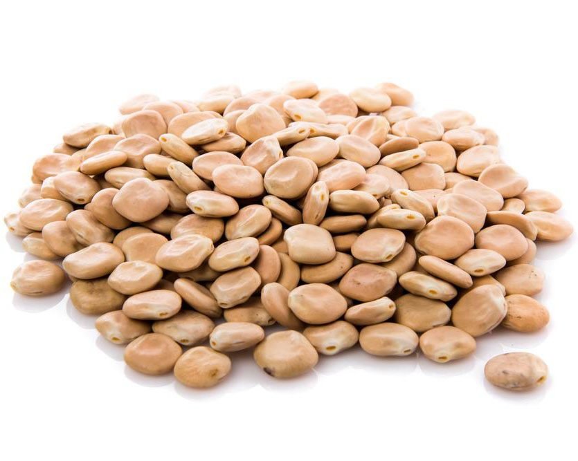 ترمس حب حلو تشيلي